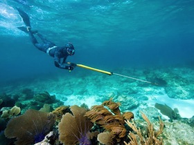 spearfishing