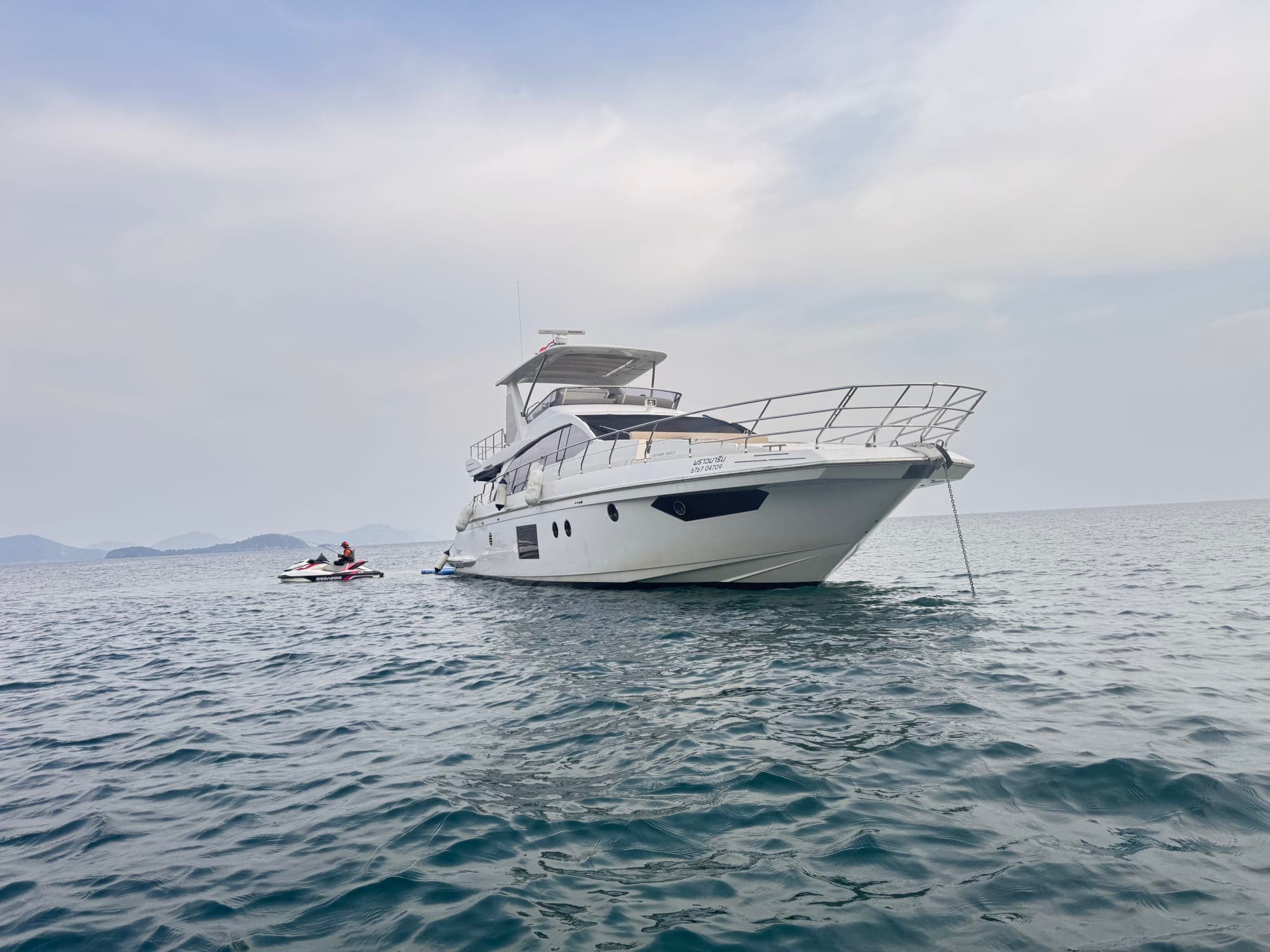 Pround Marine - Photo