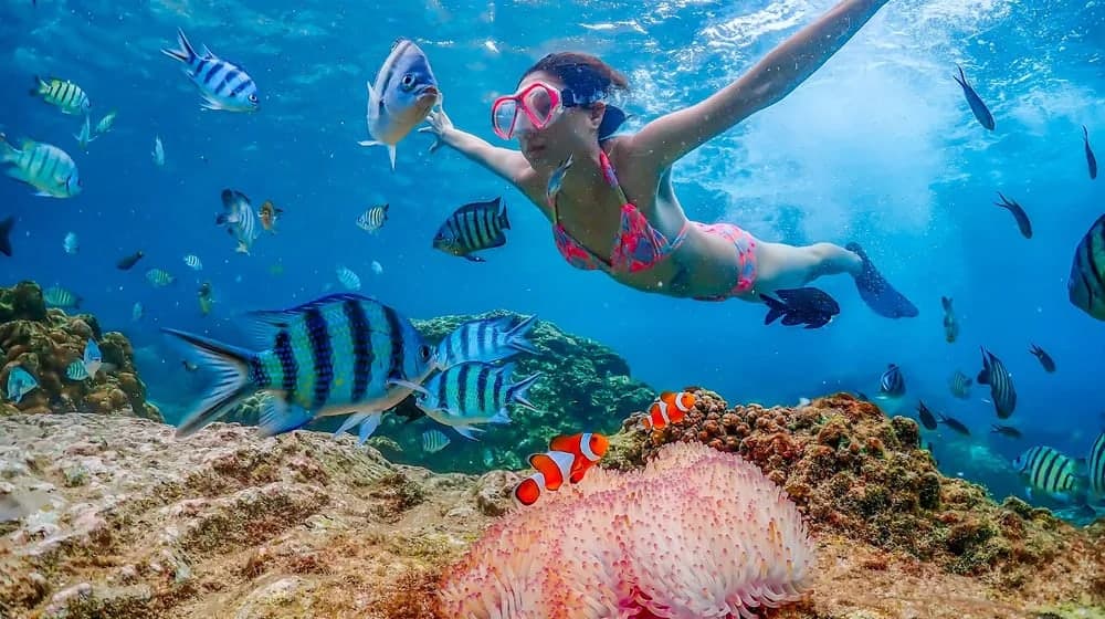 20 Nautical miles cruise to several snorkelling paradise islands in the Koh Samet Archipelago.