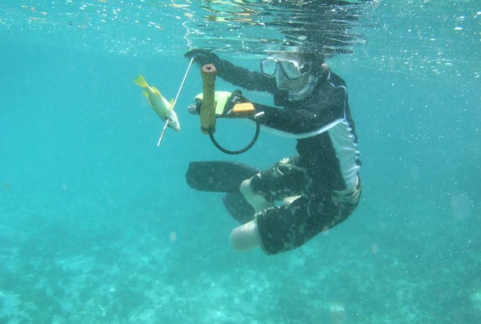 Spearfishing in Pattaya